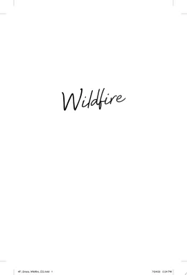 Wildfire: A Novel cover