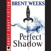 Perfect Shadow (Night Angel, #0.5) cover