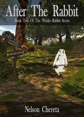 After the Rabbit (Waldo Rabbit, #2) cover