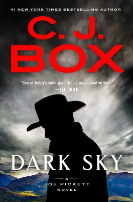 Dark Sky (Joe Pickett, #21) cover