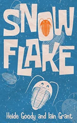 Snowflake cover