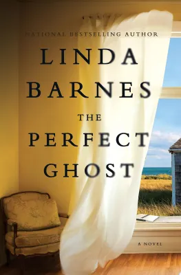 The Perfect Ghost cover