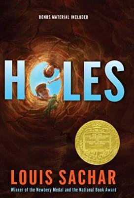 Holes cover