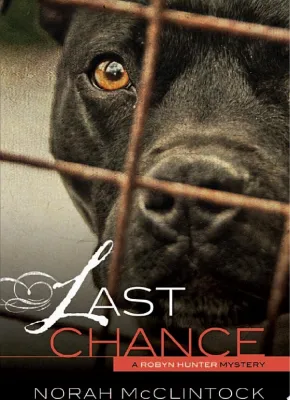 Last Chance cover