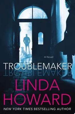 Troublemaker: A Novel cover