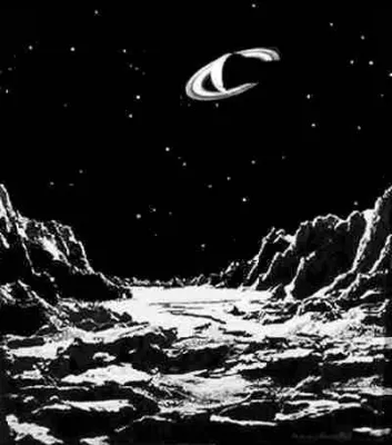 The Moon Moth cover