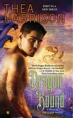 Dragon Bound cover